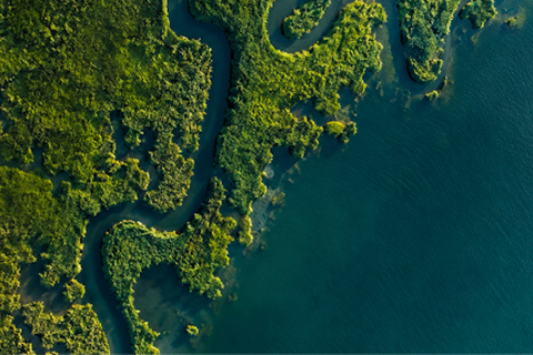Geospatial Data Quality at Scale: A Framework from Detection to Decision