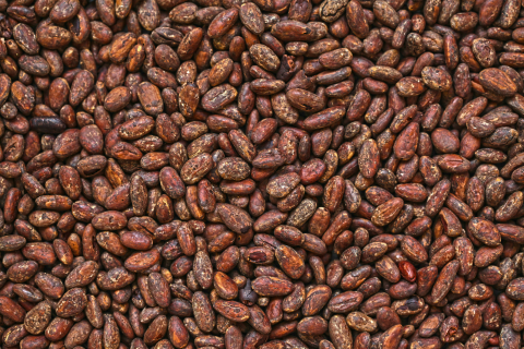 The Bug in the Bean: Why Data, Not Weather, is the New Supply Shock