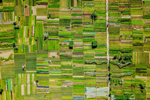 Managing Traceability Risk in EUDR Compliance