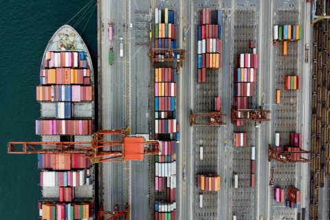 The good reason for overcoming EUDR IT issues: it’s the economy, stupid!
