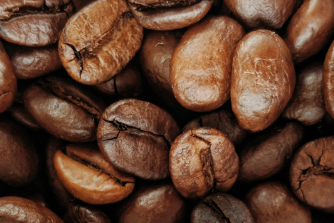 Why We Chose Coffee